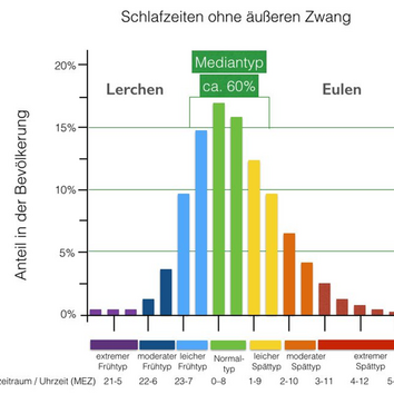 Grafik zur Verteilung der Schlaftypen in der Gesellschaft